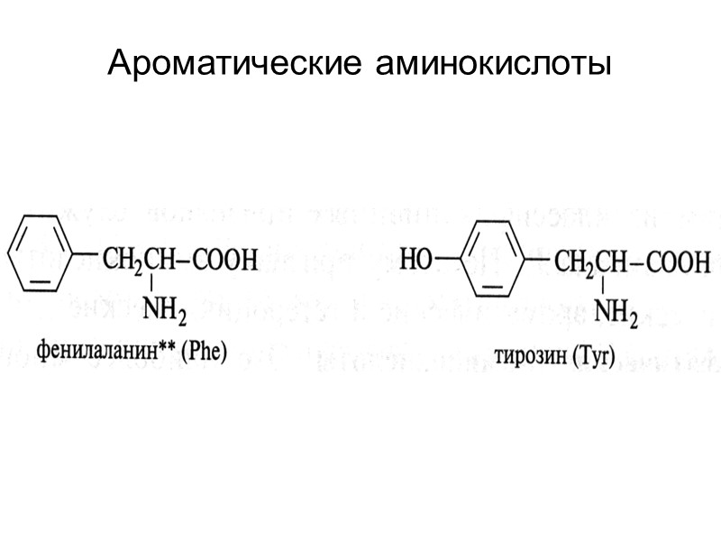 Ароматические аминокислоты